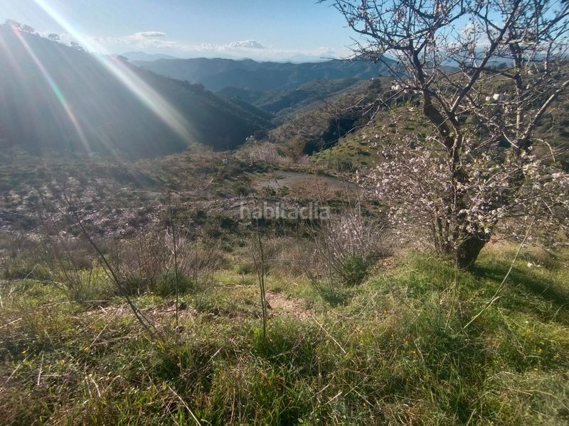 Foto 99c4e2b7-74a2-4be8-b33d-c096f01c8ce0. Finca rústica a Casabermeja