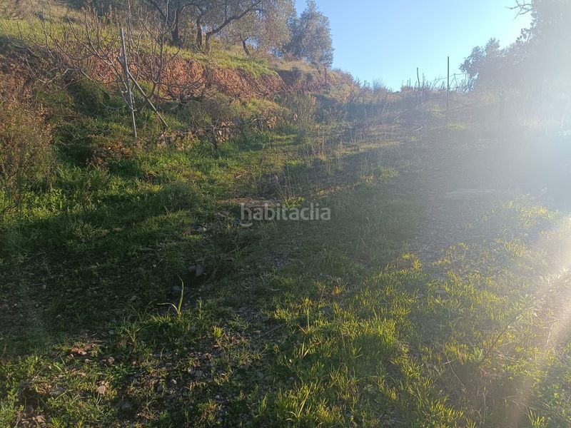 Foto c9f6f5f1-f2b5-44cd-b880-99f930d70924. Finca rústica a Casabermeja