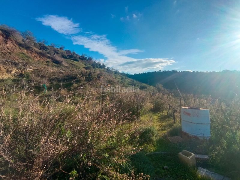 Foto eb0939f5-5955-4e3c-86d6-10d059aef15a. Finca rústica a Casabermeja