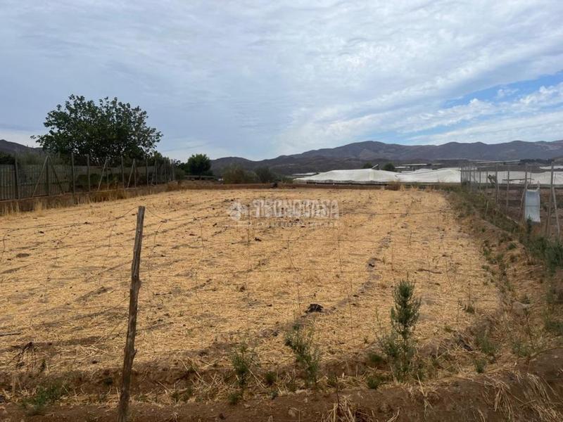 Foto 05b291a1-c58b-4232-ba1c-9e7bc17ddfeb. Finca rústica terrenos en venta en Berja