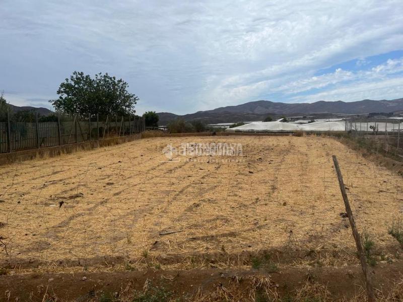 Foto 27cc553d-d3af-432b-9c49-c57d6dbf8d94. Finca rústica terrenos en venta en Berja