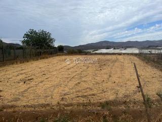 Finca rústica  N/a. Terrenos en venta en berja