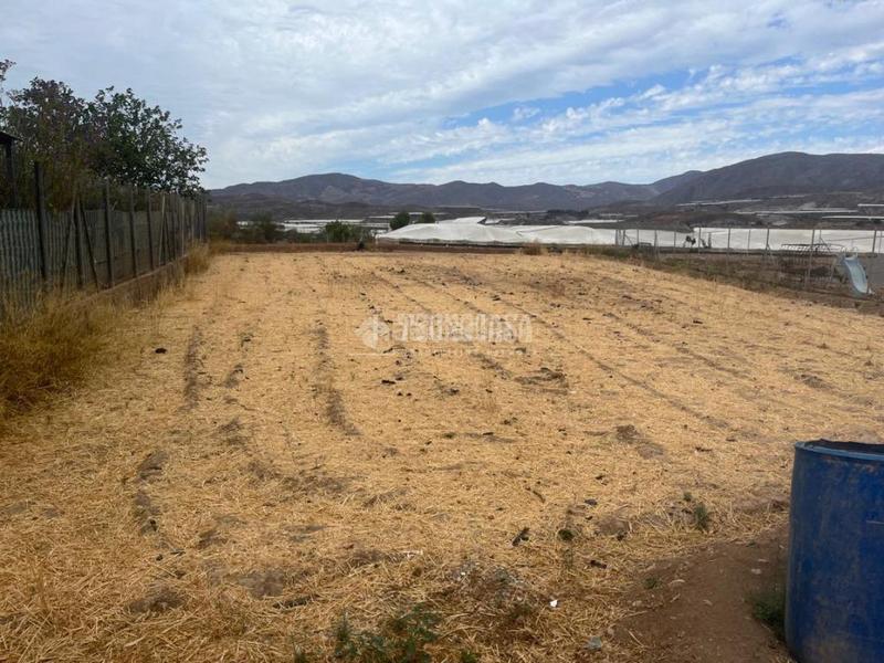 Foto 736b286f-422f-4e93-b07a-bcaa3bec9213. Finca rústica terrenos en venta en Berja