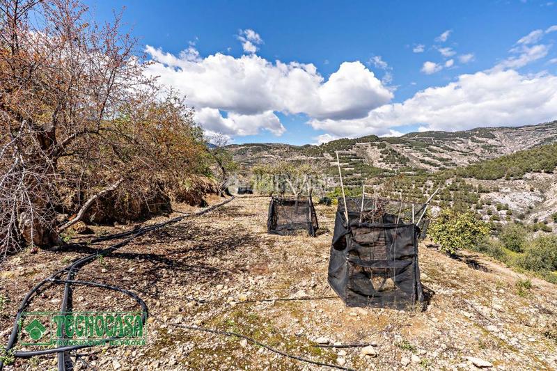 Foto b0c6d216-e66e-42c9-8ade-9ee56a20a1d9. Masía casa rural en venta en Berja