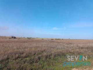 Propriété à Nuevos altos 100. Parcela rustica 8400m2