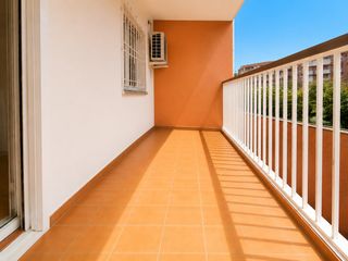 Pis a Riu Sud. Piso con ascensor céntrico con 4 habitaciones, 2 balcones y pati