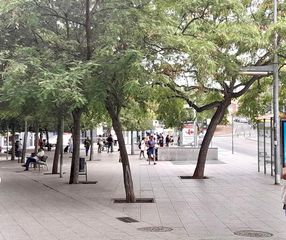 Pis a Fondo. ¡oportunidad única en la rambla de fondo!