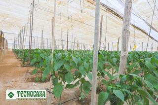 Finca rústica a Adra. Terrenos en venta en adra