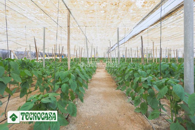 Foto b9e80439-7211-47a9-b752-391b85528d1f. Finca rústica terrenos en venta en Adra