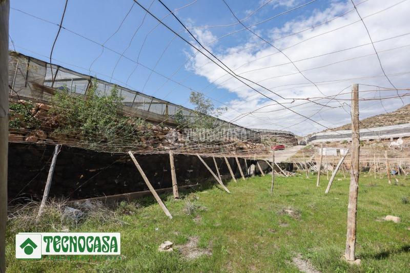 Foto 0e6ef1fb-a09e-40e6-8f47-13c0a4b5b2f8. Finca rústica terrenos en venta en Adra