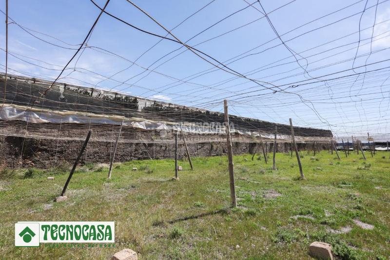 Foto 386fc9ee-e01f-48c9-b5e9-4e0cf1ed96f3. Finca rústica terrenos en venta en Adra