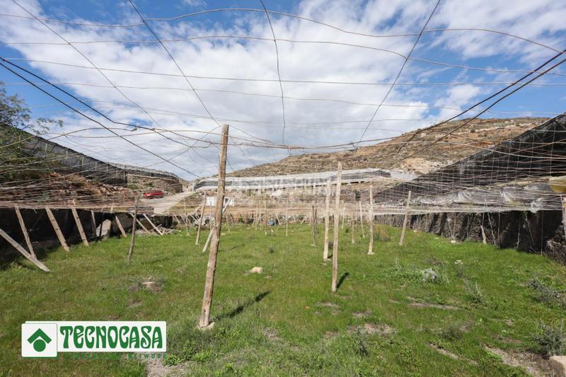 Foto 564af67f-d440-41e3-9d1f-1733514f0f45. Finca rústica terrenos en venta en Adra