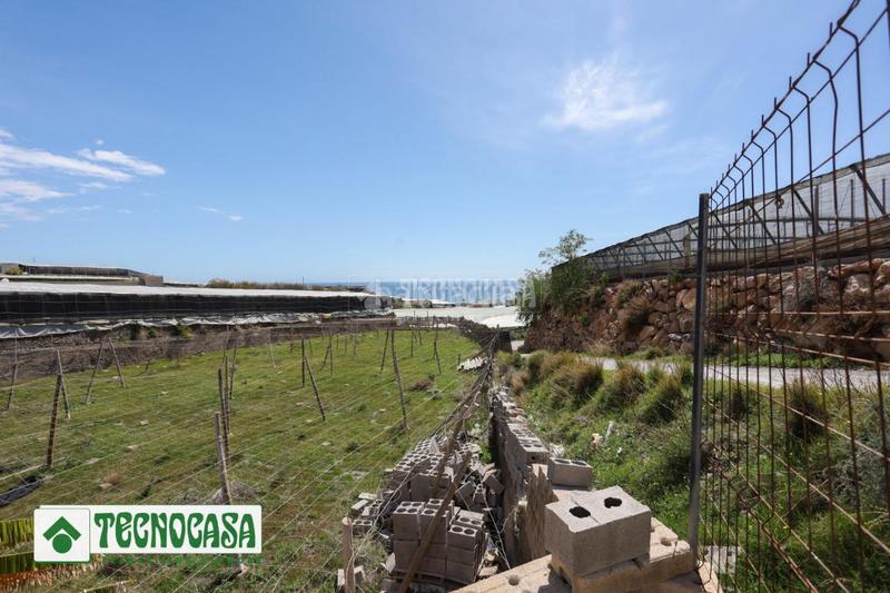 Foto 6c636980-fb1e-45d6-a1d8-e331e8df4789. Finca rústica terrenos en venta en Adra