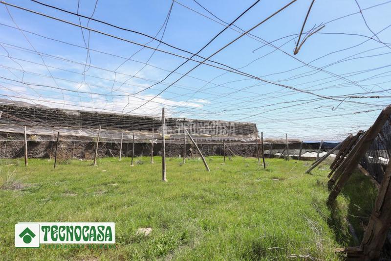 Foto d0e5e3e0-2dc9-4749-b2b4-736875e45bb0. Finca rústica terrenos en venta en Adra