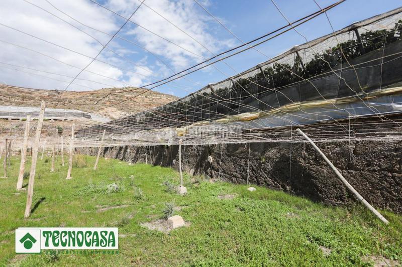 Foto da0efea7-527b-402b-84ce-48f3ddb3cfa3. Finca rústica terrenos en venta en Adra
