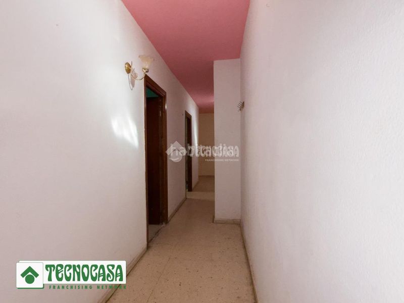 Foto aae57fcb-504a-430c-ae66-1a7dadbf202c. Pis a Adra