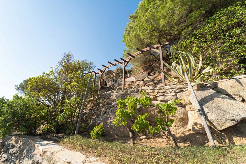 Foto b4af3aee-167c-4ec5-83ad-fce2f9f4981f. Haus mit heizung parking pool in Puig Rom-Canyelles-Almadrava Roses