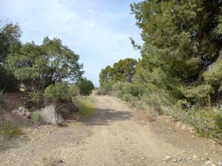 Rural plot in Aguaderas