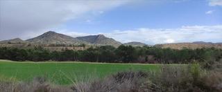Rural plot in Zarcilla de Ramos. Fincas rustica