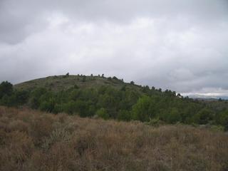 Fondo rustico in La Hoya