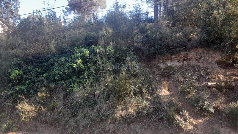 Foto c42fe7ac-ab73-4f67-8fda-ae183c2843b7. Terreny residencial a Vallgorguina