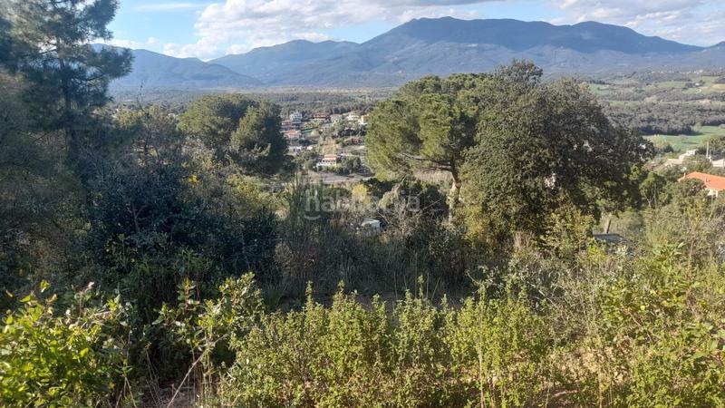 Foto e2b3cc7b-5249-4468-9882-632b3cedc147. Terreny residencial a Vallgorguina