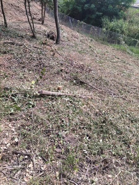 Foto 535acbd8-62f7-49f7-b7ed-78dd1184065d. Wohngrundstück in Vallgorguina