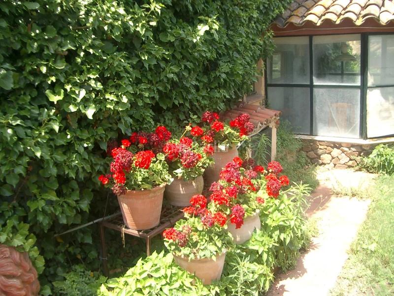 Foto b0498b54-8021-4990-a3c1-a30940a1e5c8. Country house in Palau-sator