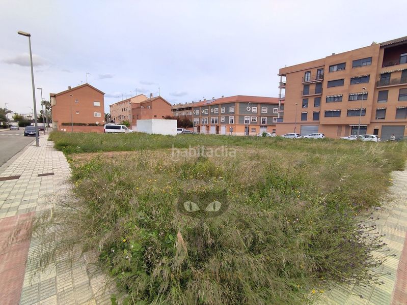 Foto 3def9074-60fa-4a35-8292-ffe9762faba6. Finca rústica en francesc de vinatea 24 en Alcácer