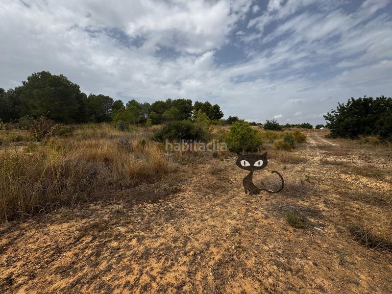 Foto 161a37a5-f804-4622-a5af-858bac8da308. Finca rústica en Monte Real Torrent