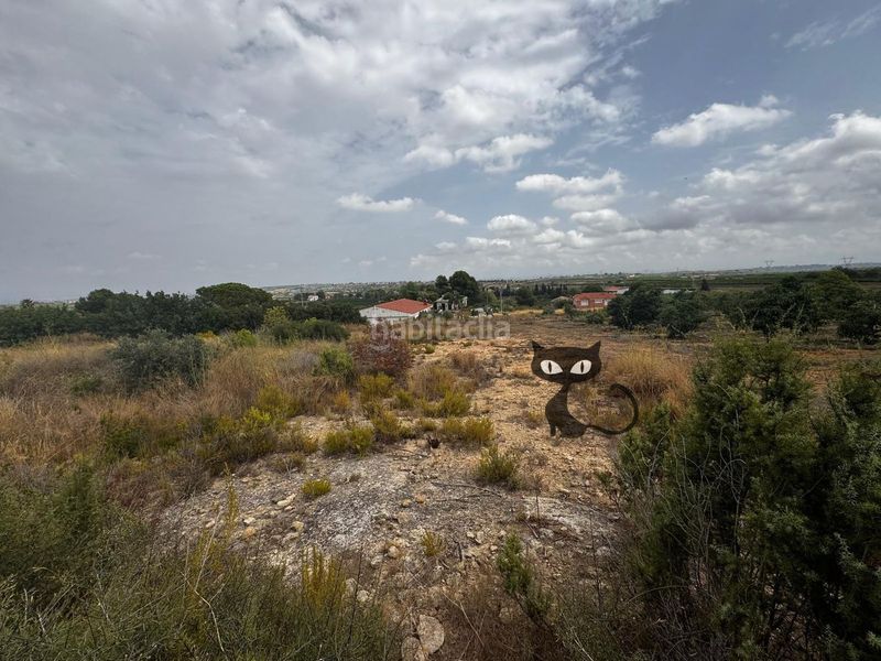 Foto 427f597c-95af-4825-8664-5620090cacb0. Finca rústica en Monte Real Torrent
