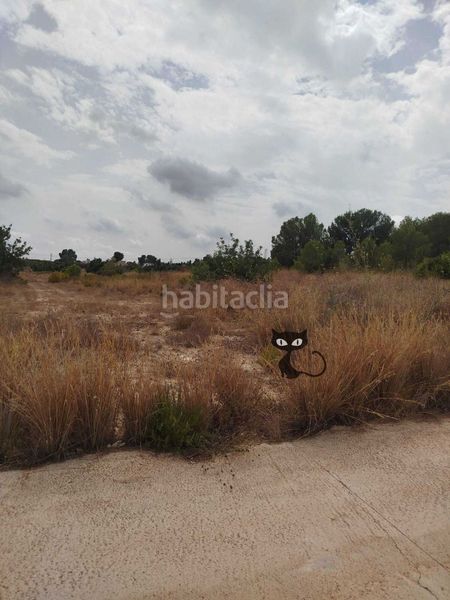 Foto 8a0e7dd5-86a6-4e62-8d94-cf8e07c4c636. Finca rústica en Monte Real Torrent