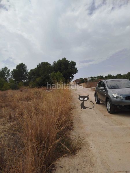 Foto acabe102-b6a3-438f-8319-6054347a5199. Finca rústica en Monte Real Torrent