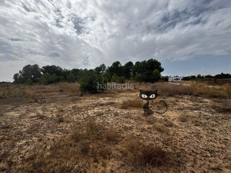 Foto b8dde4ce-d841-4687-aed0-21b35b20abf1. Finca rústica en Monte Real Torrent