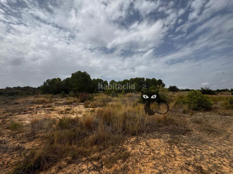 Foto ba22b745-e3f2-4d61-a777-0d8fec19641b. Finca rústica en Monte Real Torrent