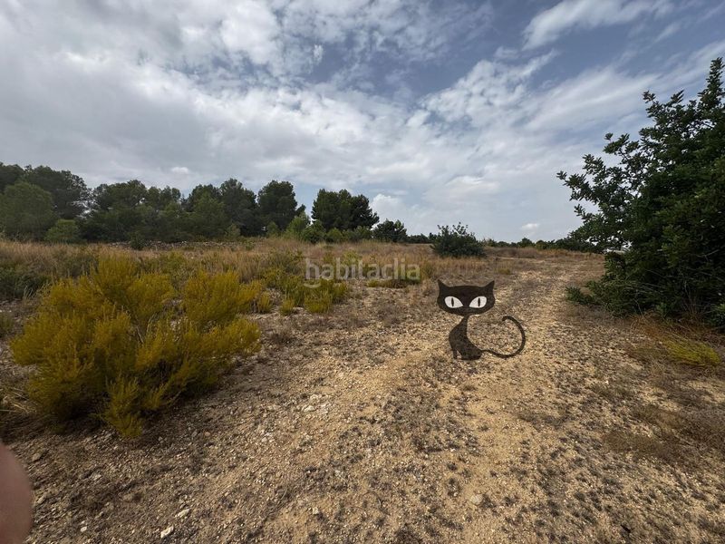 Foto bfbc69bb-9b7b-4c5b-8806-aee3eaa3b38e. Finca rústica en Monte Real Torrent