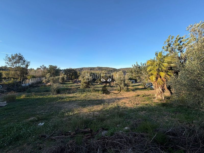 Foto d15c1841-2652-4a4d-adcf-38a93377fdf3. Finca rústica en Monte Real Torrent