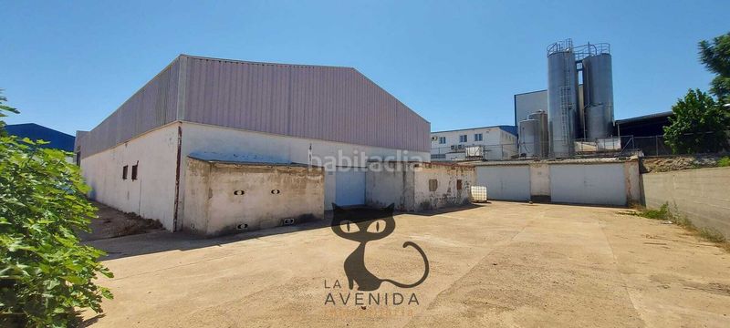 Foto a0a8688c-ccb4-4ac1-88be-3a0aa6cdb6e1. Local commercial dans Real de Montroi