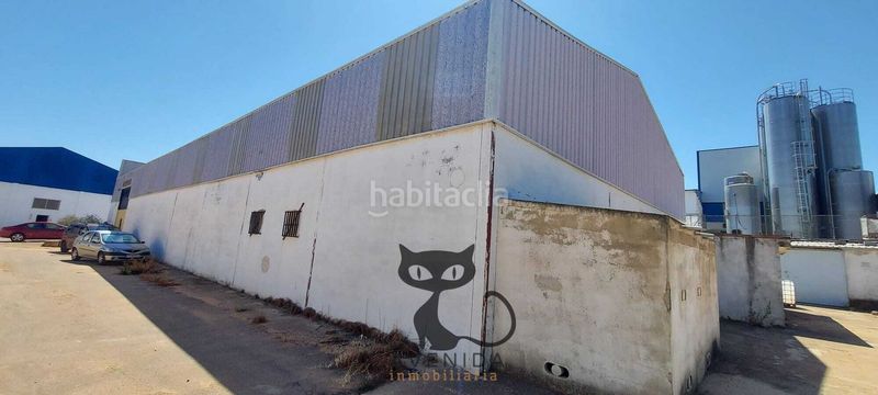 Foto b2c9651d-1ff6-45ca-8025-67c9b55c1463. Local commercial dans Real de Montroi