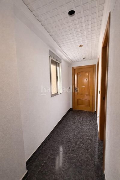 Foto ca5fe7d4-a154-46d5-9c1f-dd3e538c0aac. Pis a Alfafar