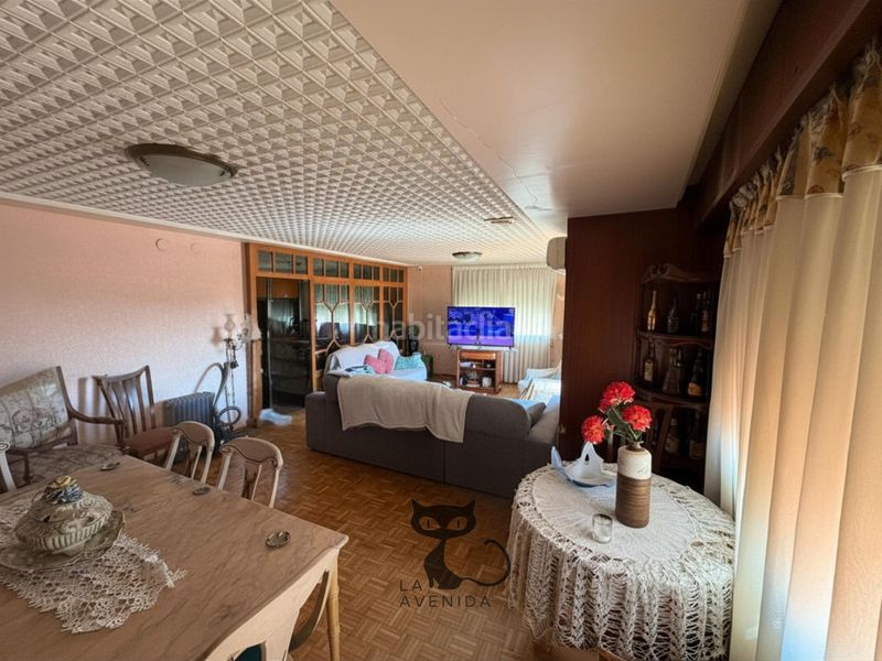 Foto 755be267-a80d-4b3e-a211-d59c497c3937. Pis a Benetússer