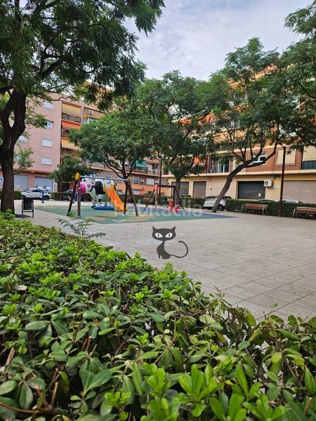 Foto 41535256-fd49-48d7-8784-b79a2f98171a. Pis a Centro Xirivella