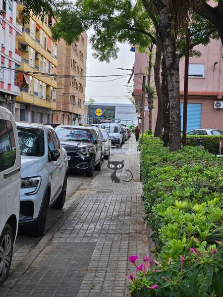 Foto d06d565c-a233-4a7c-b871-e7f3d3be904a. Pis a Centro Xirivella