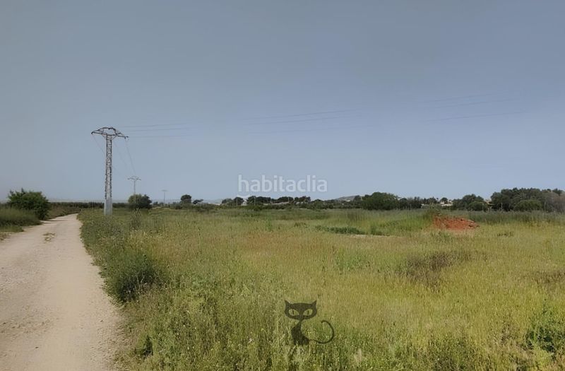 Foto 5a3eb552-0b92-4f95-8c1d-80cdc18e6e4a. Finca rústica a Polígono del Aeropuerto Manises