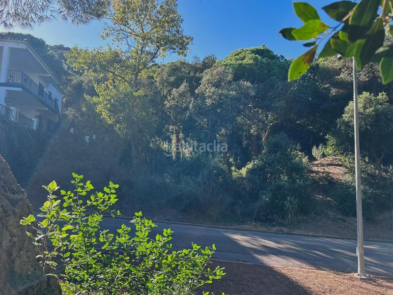 Foto 21d5f9b4-e600-45fd-8ce3-9a4ab24a50fa. Terreno residenziale in Rosamar Santa Cristina d´Aro