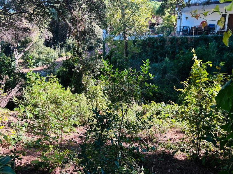 Foto 619b5e57-a328-4cec-a762-389e2b2fddb7. Terreno residenziale in Rosamar Santa Cristina d´Aro