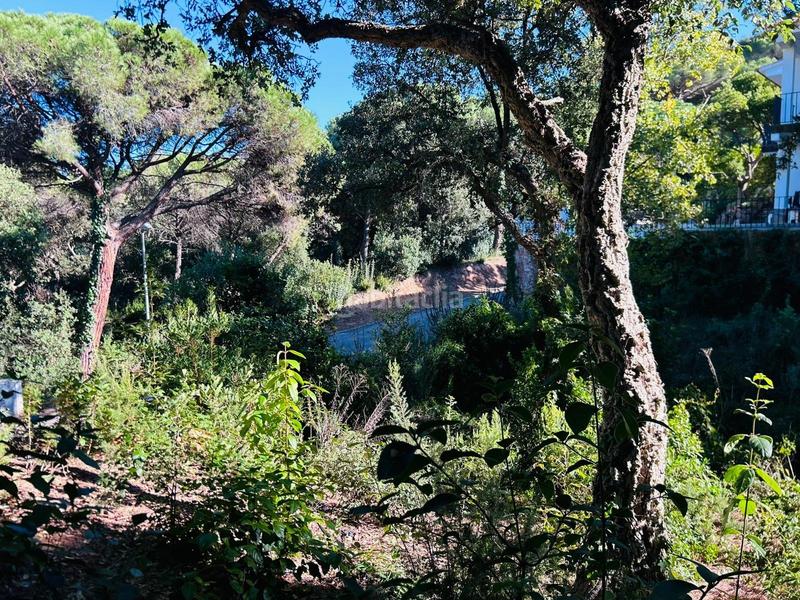 Foto d3f368ba-e549-45c7-95d6-439ed97bf717. Terreno residenziale in Rosamar Santa Cristina d´Aro