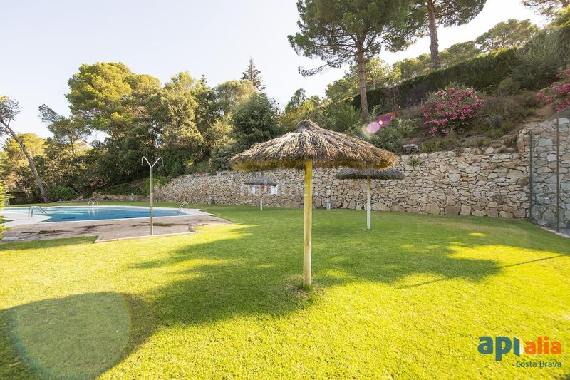 Foto d85c2e7f-895d-4b1a-9fc9-2d6ad418fe91. Pis amb aparcament piscina a Tamariu