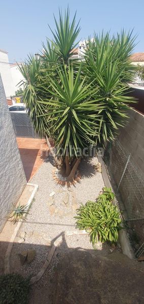 Foto d4f97dae-baf6-4dae-833e-77e26a6f9976. Casa amb calefacció aparcament a Puig Rom-Canyelles-Almadrava Roses