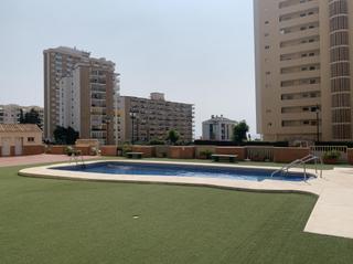 Alquiler Piso en Avenida ntro padre jesus cautivo 46. Disponible 2 quincena de agosto y abril y may0 2026. 1 dormitori